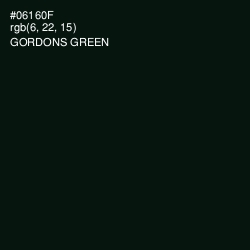 #06160F - Gordons Green Color Image